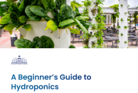 A_Beginners_Guide_to_Hydroponics_V1-1024x1024-1 Japanese hydroponics system beginner